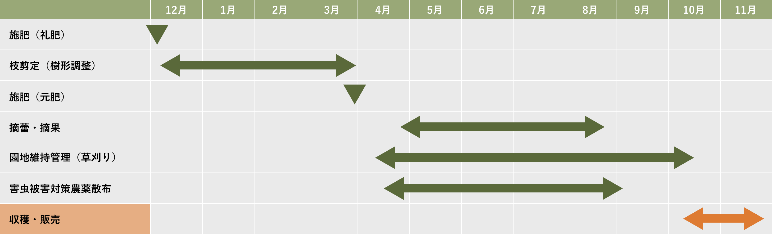柿栽培～販売までの年間スケジュール
