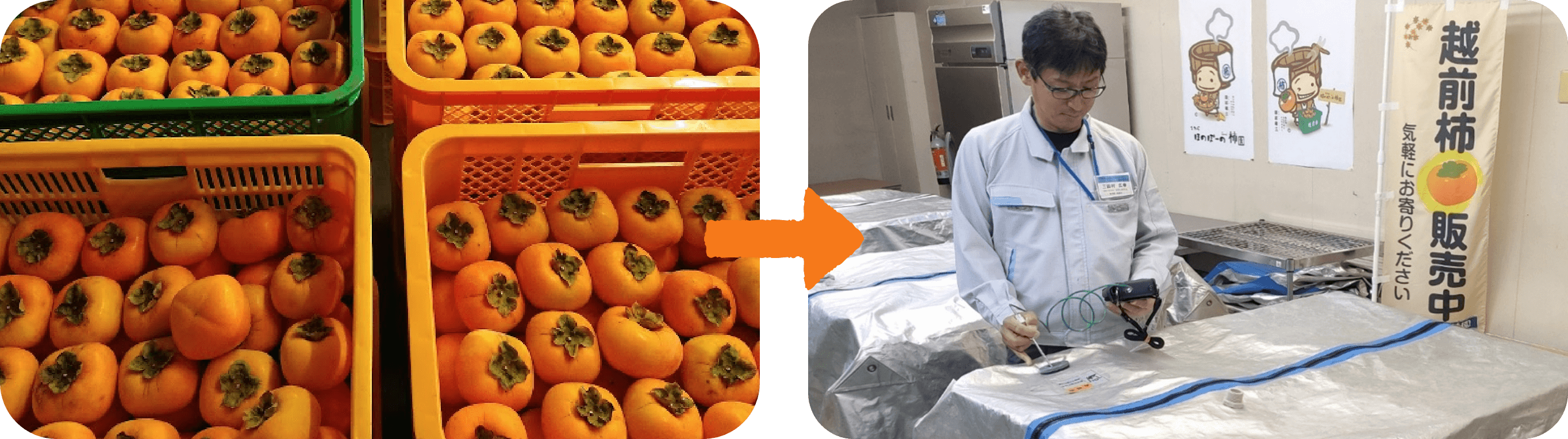 ほのぼーの柿園による「越前柿」の強みは、