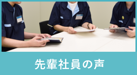 先輩社員の声